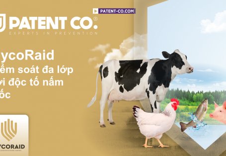 MYCORAID - KIỂM SOÁT ĐA LỚP VỚI ĐỘC TỐ NẤM MỐC